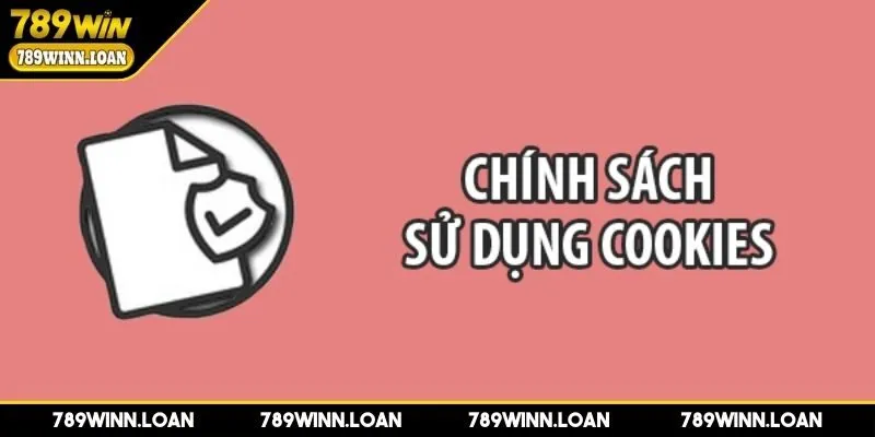 Cookie hiệu suất trên hệ thống