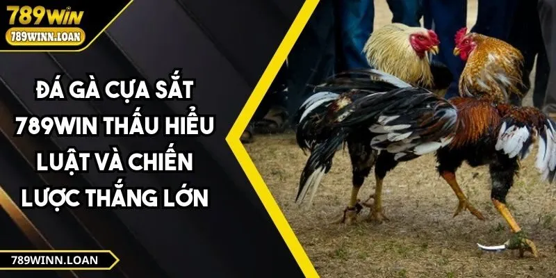 Đá Gà Cựa Sắt