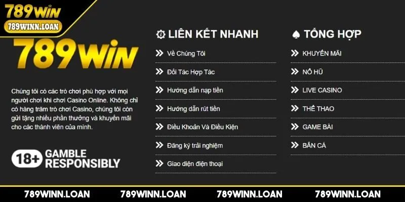 Tổng quan mục hướng dẫn 789WIN