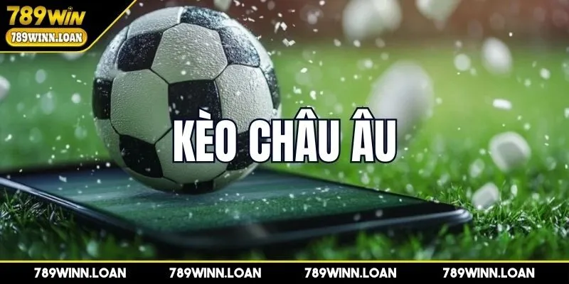 Mẹo vàng thực hiện xem xét đến tỷ lệ